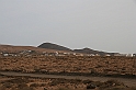 Kanary_2010 206